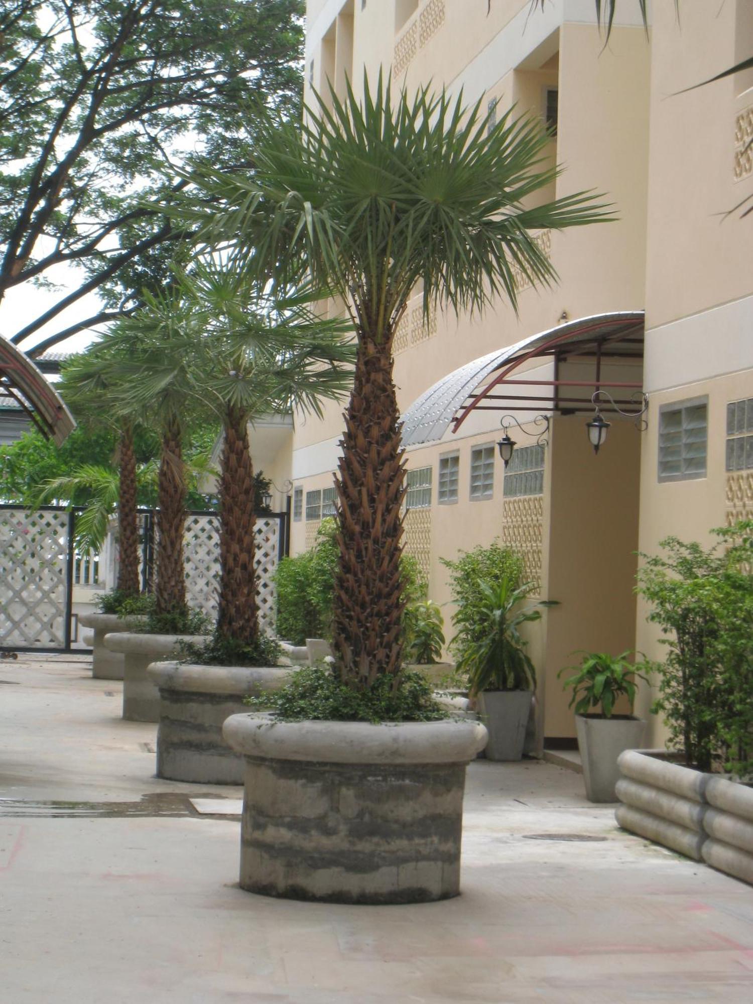Rafael Hotel And Mansion Bangkok - Sha Extra Plus Certified Exterior foto